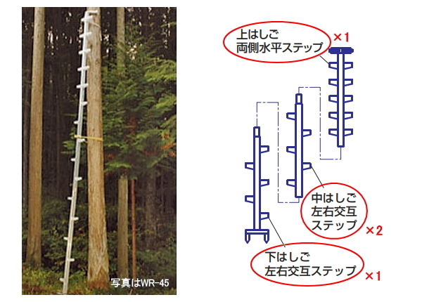 ハラックス アルミ製 枝打はしご ワンダ WR-60 : サンワード - 通販