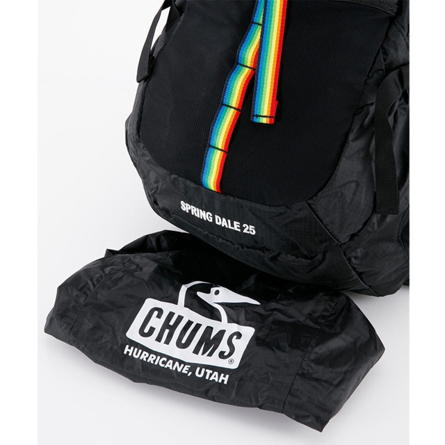 CHUMS（チャムス） リュック スプリングデール 25L バックパック