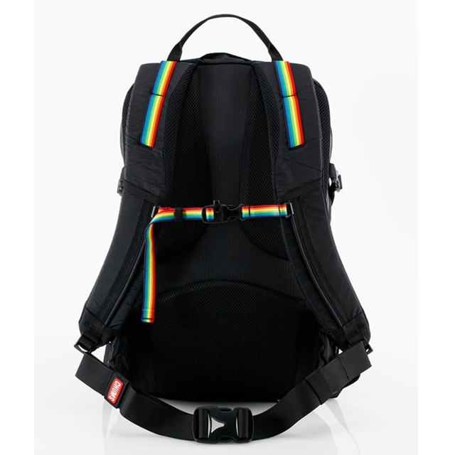 CHUMS（チャムス） リュック スプリングデール 25L バックパック