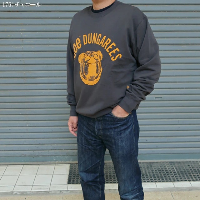 imgrc0099684225.jpg
