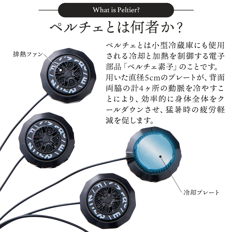 ペルチェデバイスセット アイズフロンティア I'Z FRONTIER アイズフロンティア ベスト&ペルチェデバイス