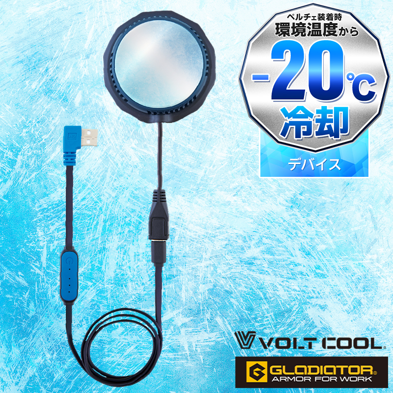 wccf    ロケテ⭐︎P36    ヘルヴェグ 変換済み ロケテ