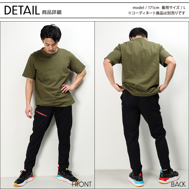 全体