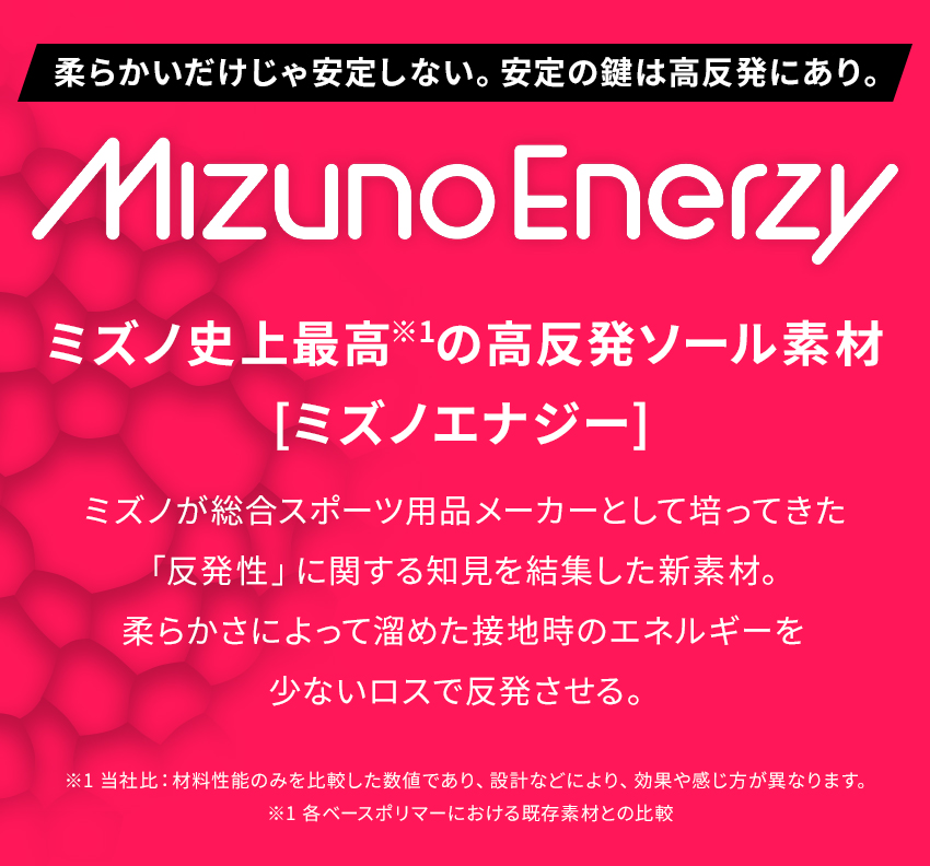 MIZUNO ミズノ 安全靴 マジックテープ ローカット F1GA2401