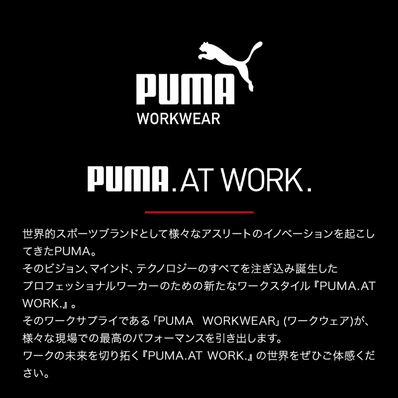 キャッチ