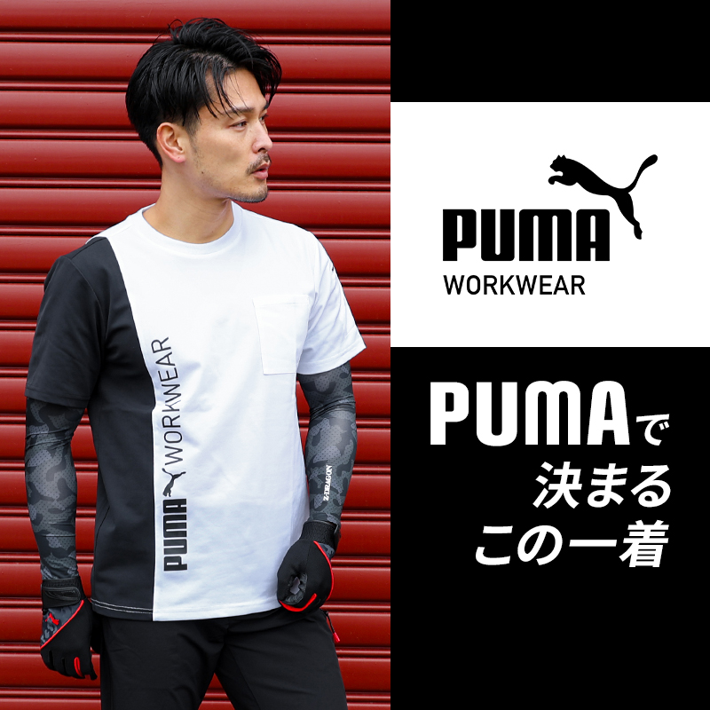 新品　2025春夏モデル 長袖Tシャツ　 Mサイズ THE NORTH FACE 2025春夏 ザ・ノース・フェイス レディース