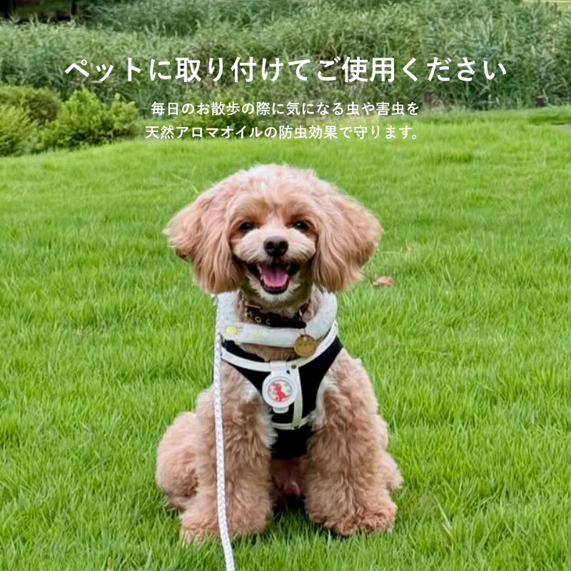 SUO SUO(R) 公式 2026年新商品 天然オーガニック材料使用 虫よけ