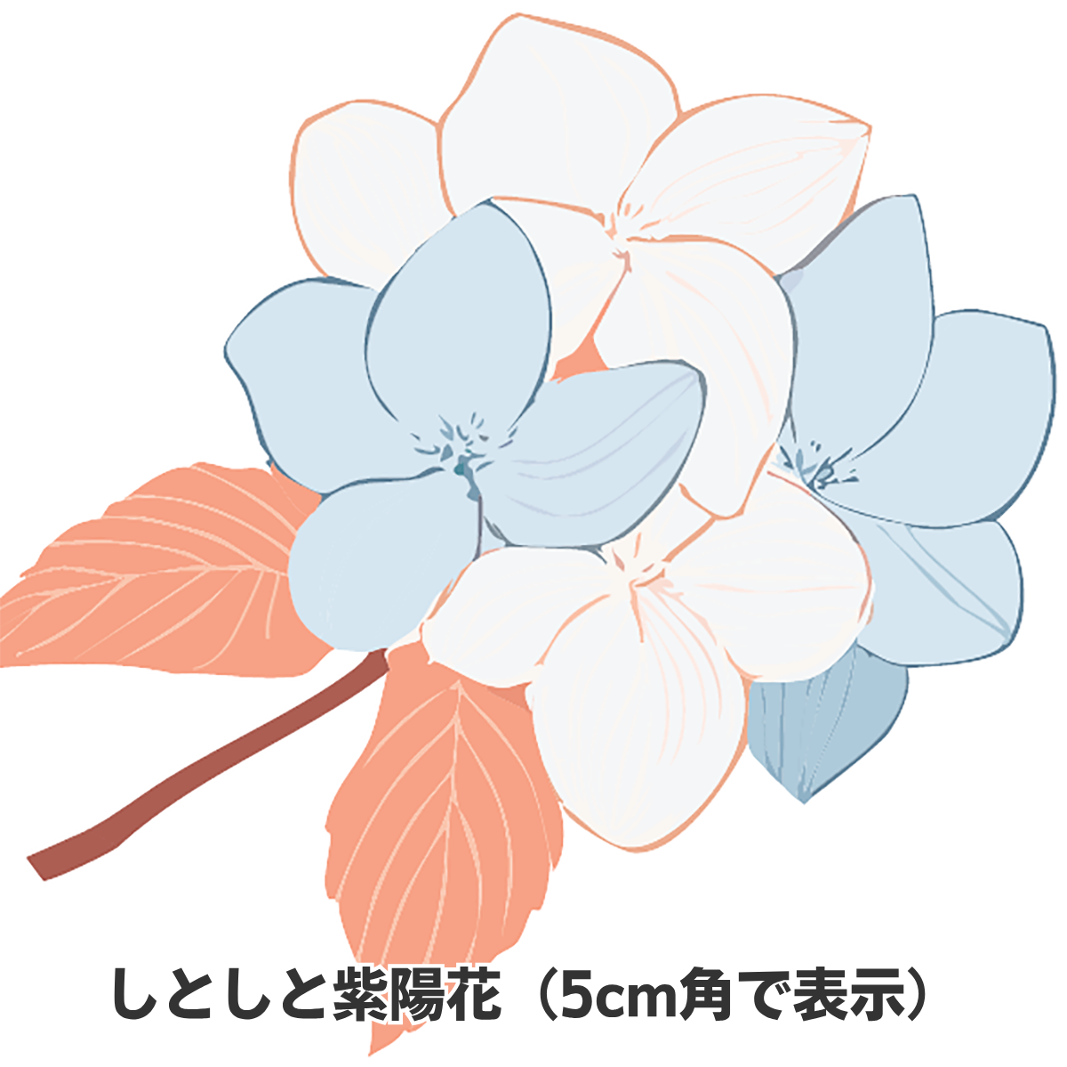 包装紙 ラッピング しとしと紫陽花 A1 841×594mm 純白ロール紙 1000枚 業務用