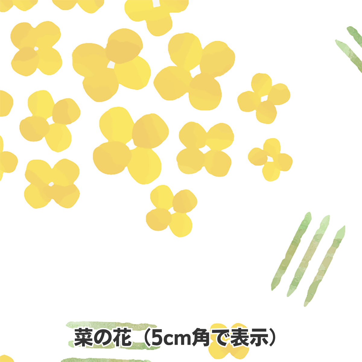 包装紙 ラッピング 菜の花 480×365mm グラシン紙 500枚 業務用