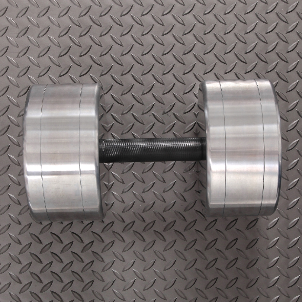 定率割引 西日本 IROTEC IROTEC（アイロテック）ハードクロームジムダンベル48KG ウエイトトレーニング