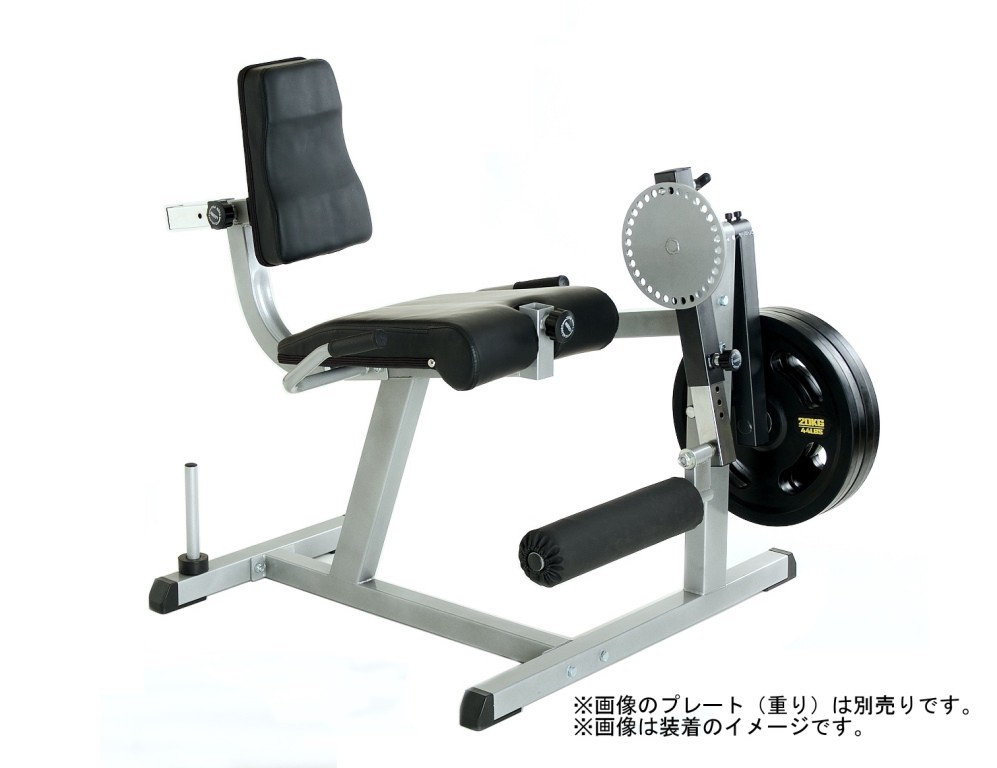 IROTEC（アイロテック）レッグエクス＆カールベンチ / レッグエクステンション レッグカール トレーニング器具 トレーニングマシン ホームジム 筋トレ  器具 : legexcl : スーパースポーツカンパニー - 通販 - Yahoo!ショッピング