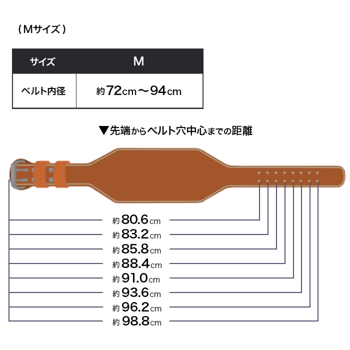 Mサイズ目安