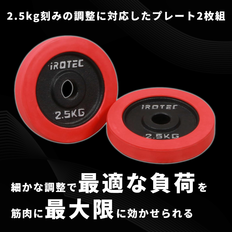IROTEC（アイロテック） バーベル プレート ラバープレート2.5KG [2枚