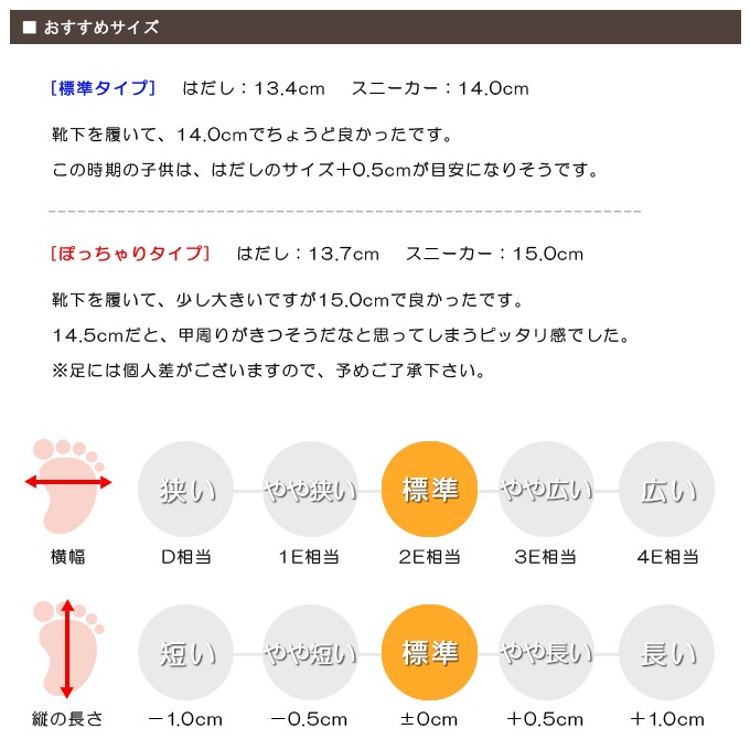 スタッフの感想