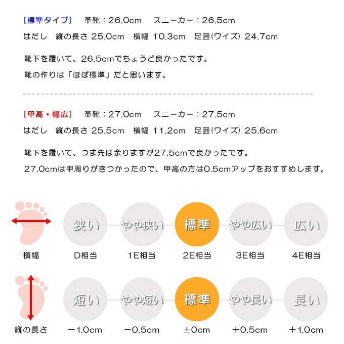 スタッフの感想