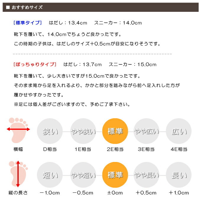 スタッフの感想