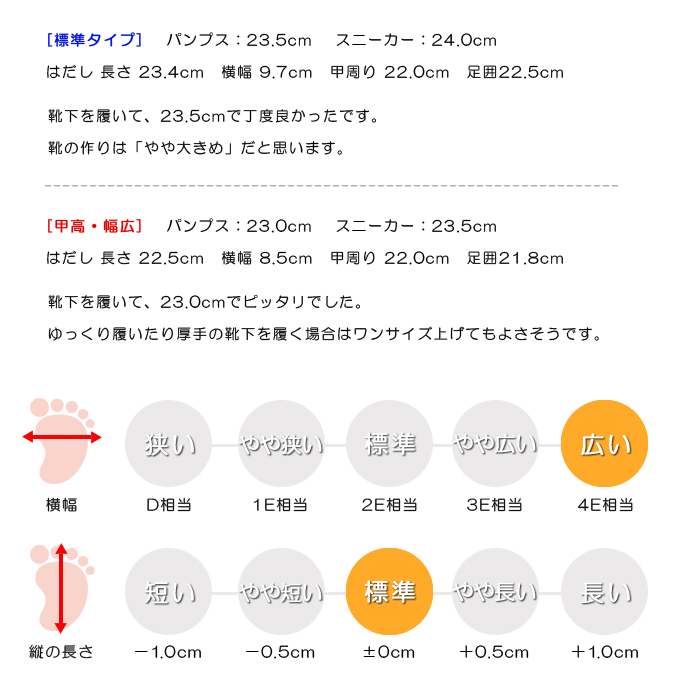 スタッフの感想