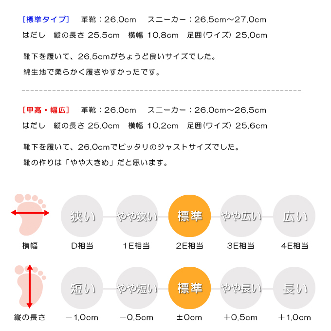 スタッフの感想