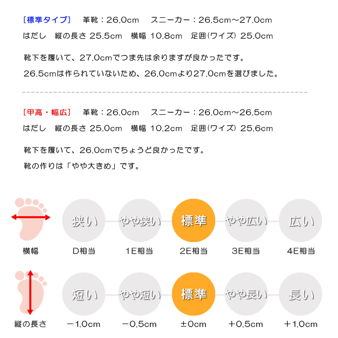 スタッフの感想