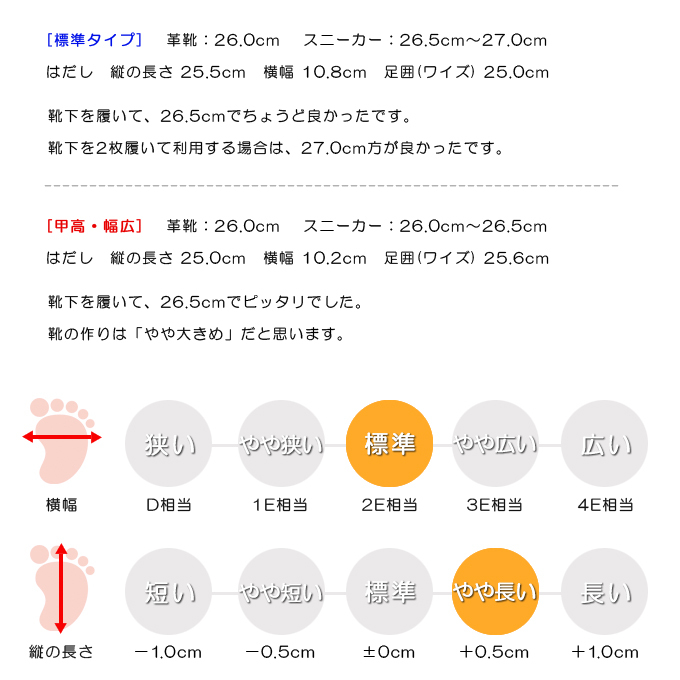 スタッフの感想