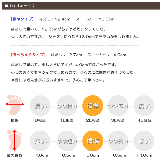 スタッフの感想