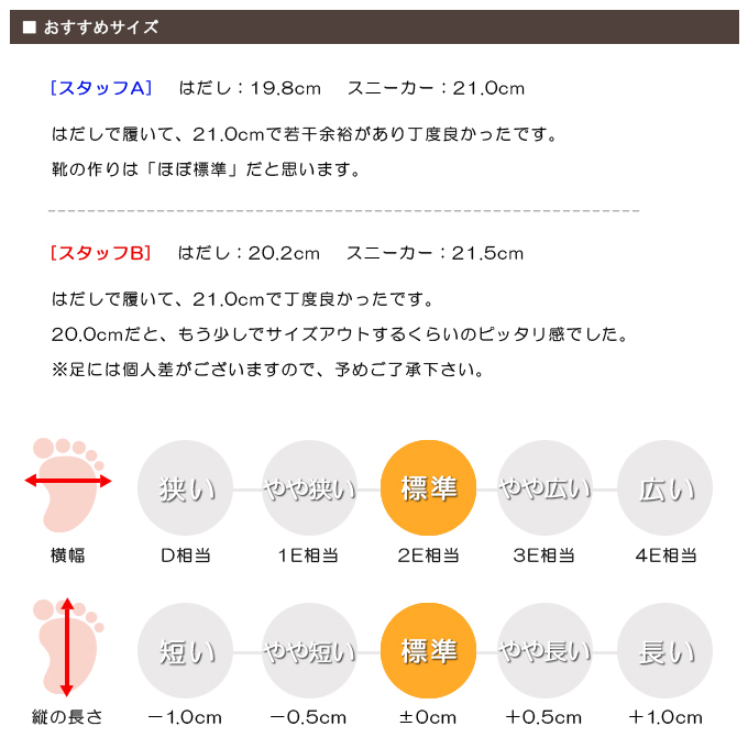 スタッフの感想