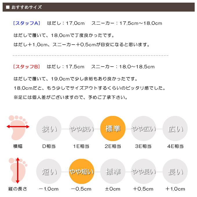 スタッフの感想
