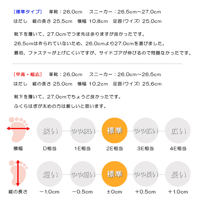 スタッフの感想