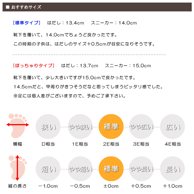 スタッフの感想