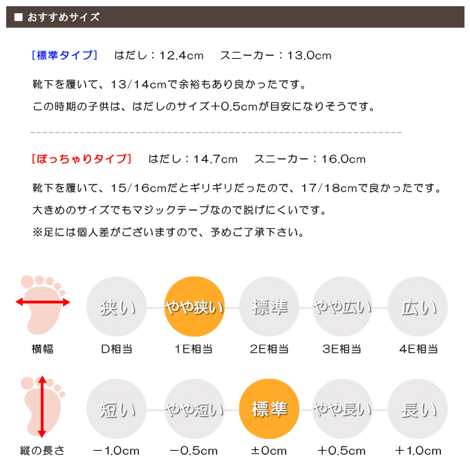スタッフの感想