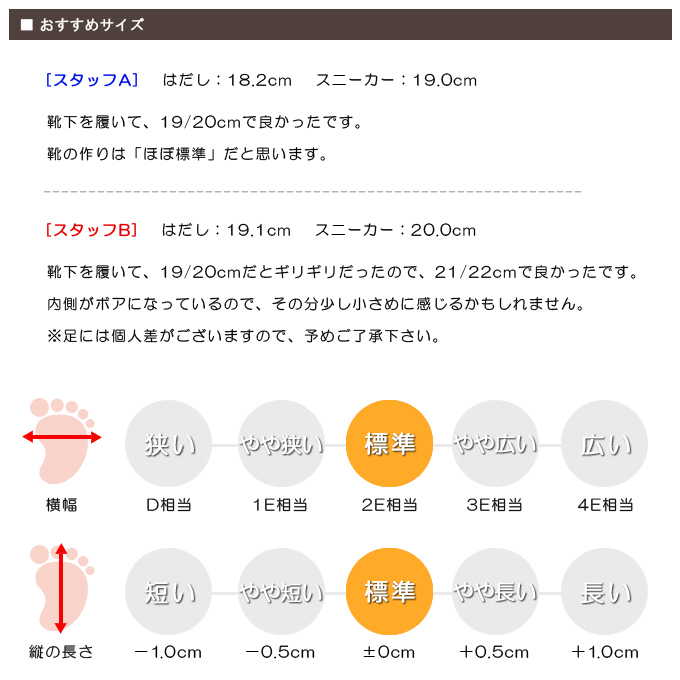 スタッフの感想