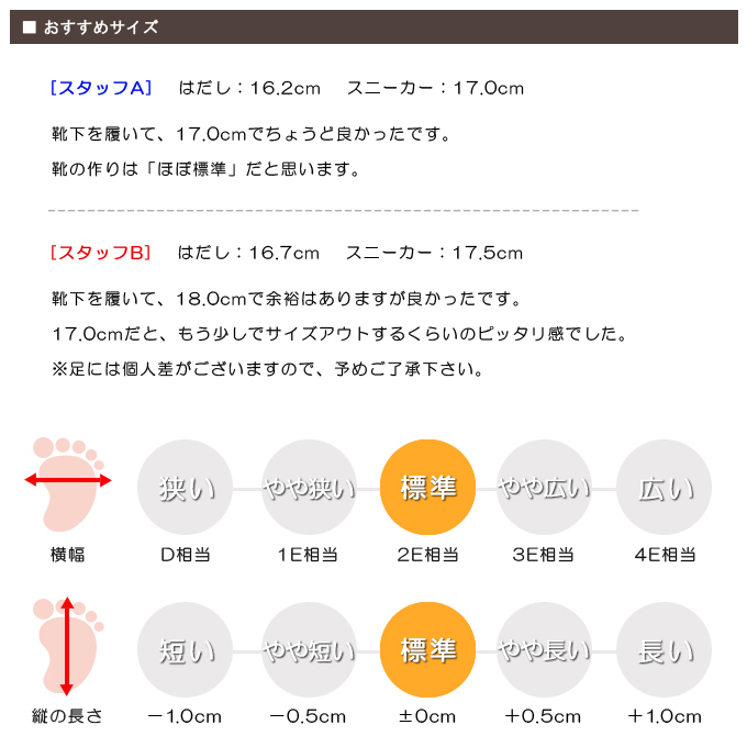 スタッフの感想