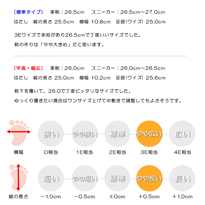 スタッフの感想