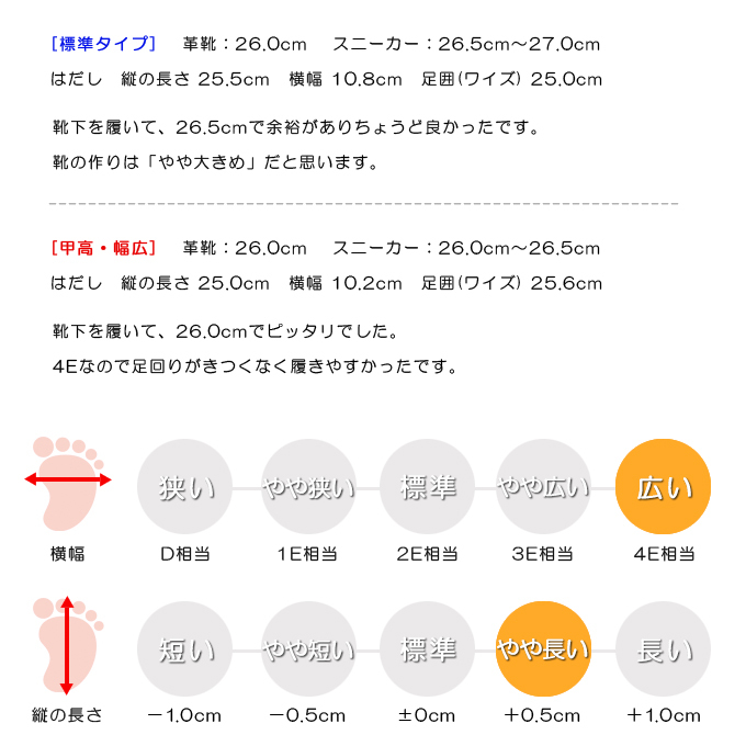 スタッフの感想