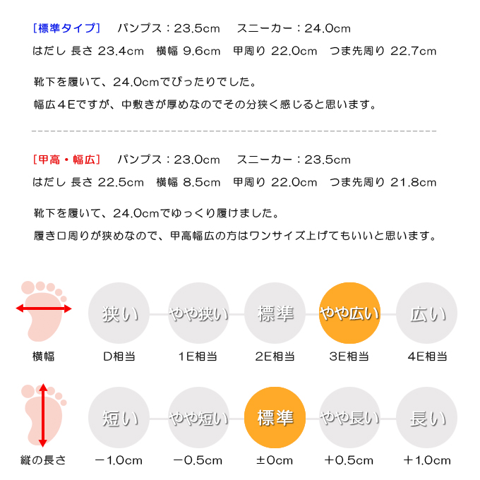 スタッフの感想