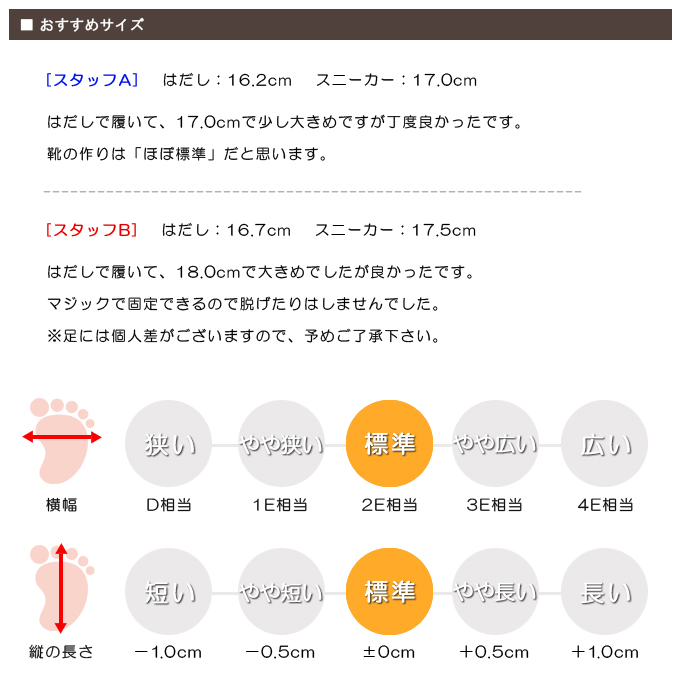 スタッフの感想
