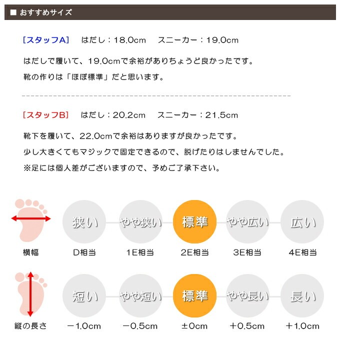 スタッフの感想