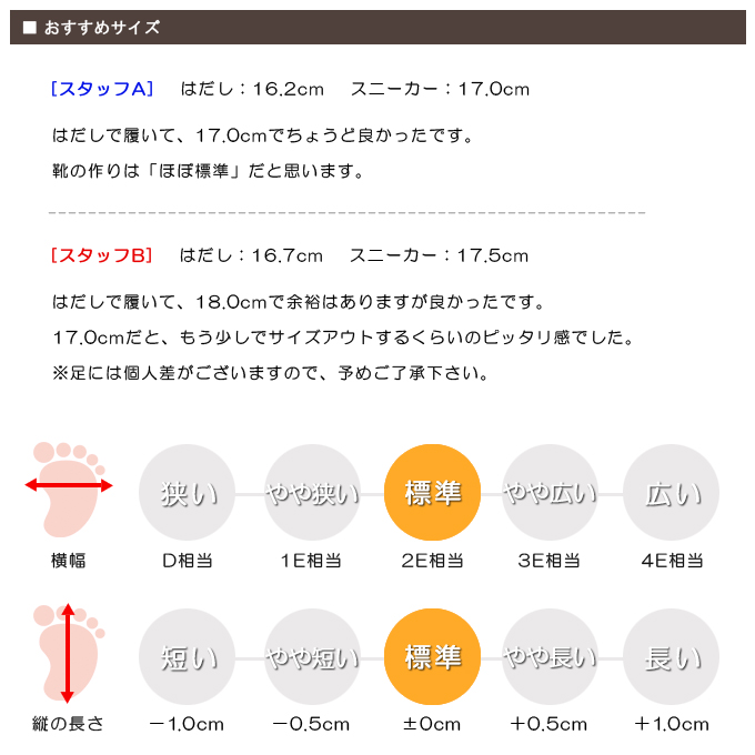 スタッフの感想