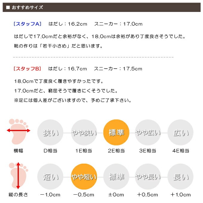 スタッフの感想