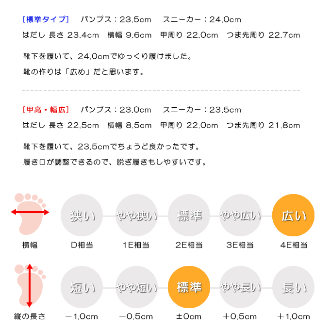 スタッフの感想