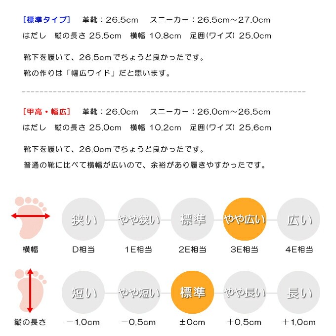 スタッフの感想