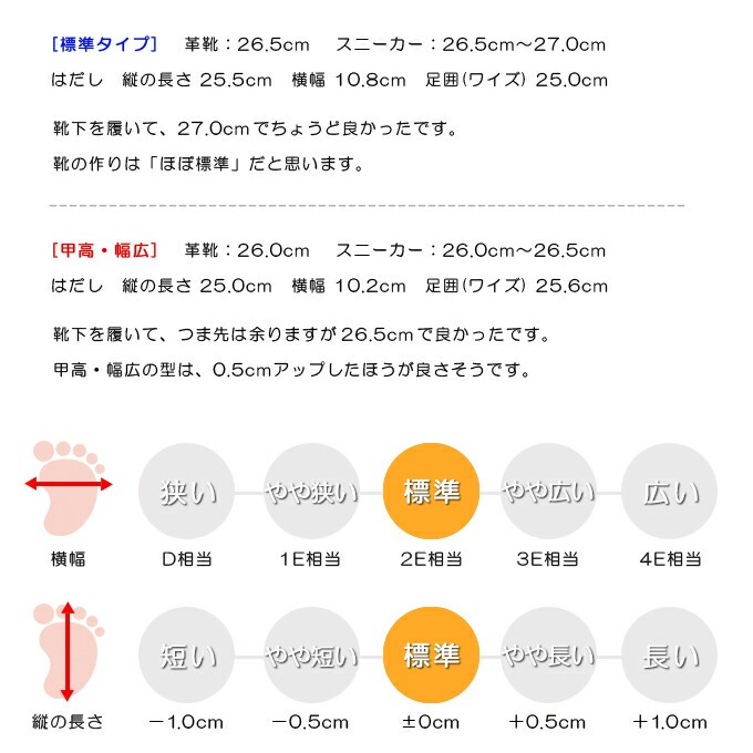 スタッフの感想