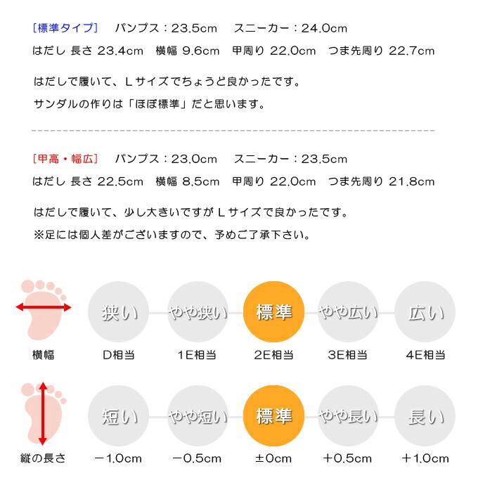 スタッフの感想