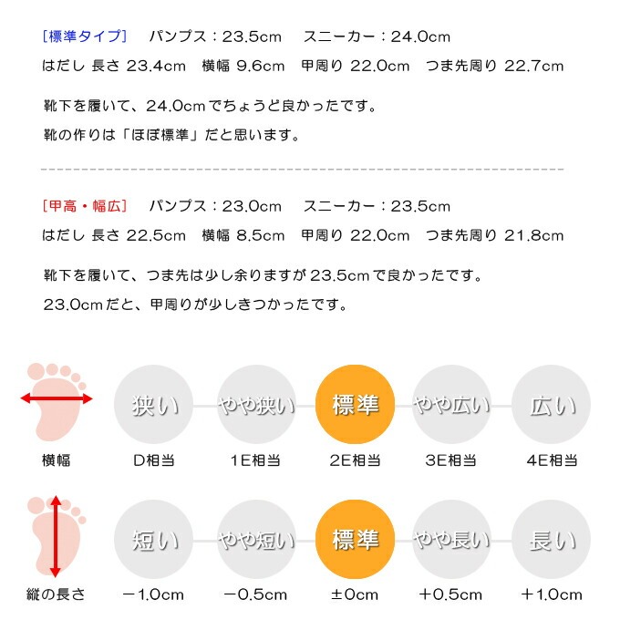 スタッフの感想