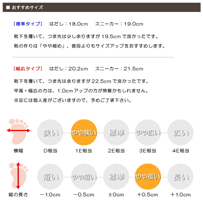 スタッフの感想