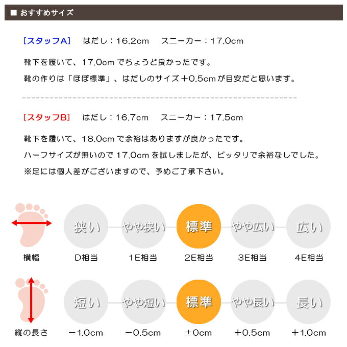 スタッフの感想