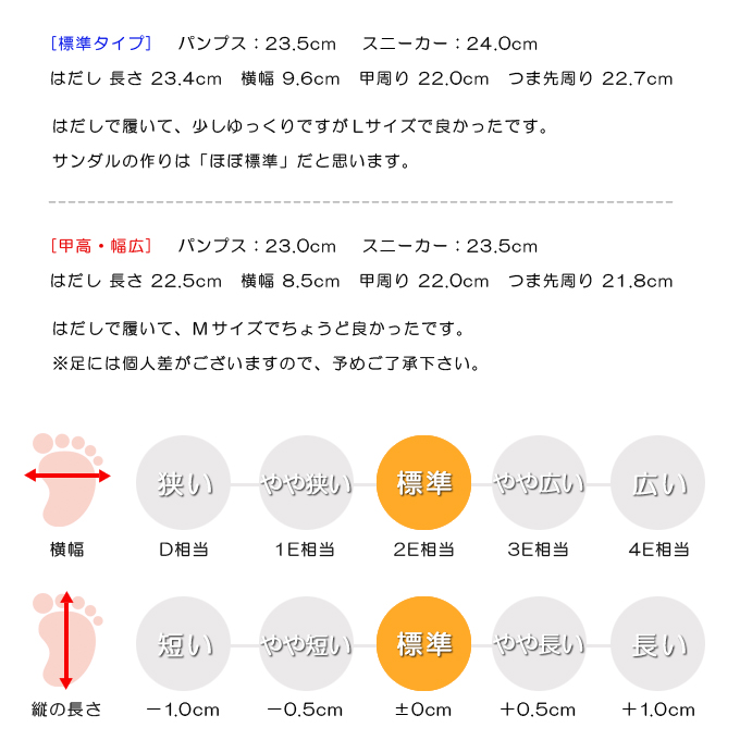 スタッフの感想