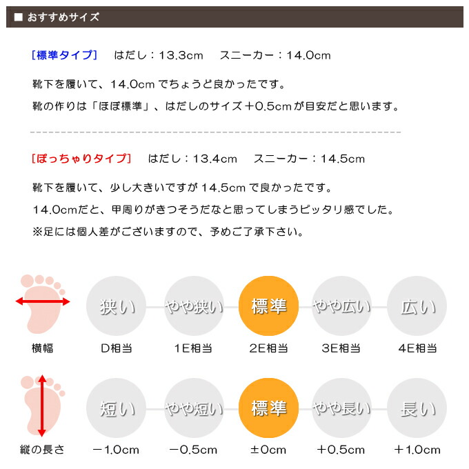 スタッフの感想