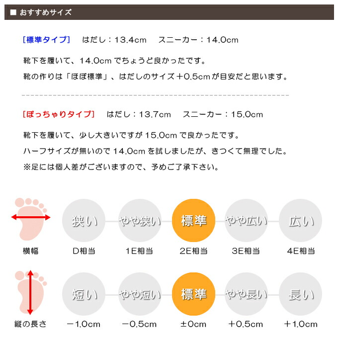 スタッフの感想