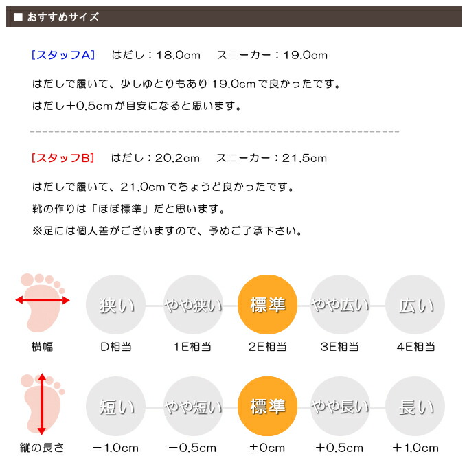 スタッフの感想